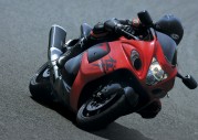 Suzuki Hayabusa GSX1300R